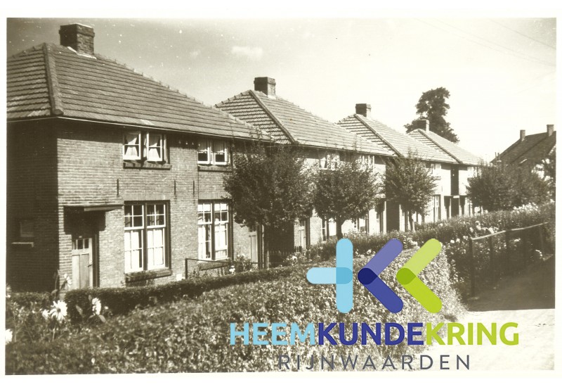 1949-50 104